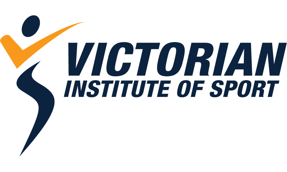 VIS Logo